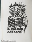 A fiúk téli kalandozása