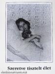 Szeretve tisztelt élet