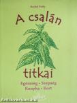 A csalán titkai