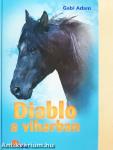 Diablo a viharban