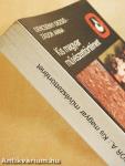 Kis magyar művészettörténet