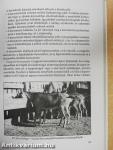 Kecsketenyésztés kisgazdaságokban
