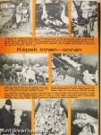 Kistenyésztők Lapja 1986. január-december