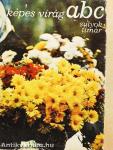 Képes virágábécé