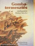 Gombatermesztés