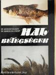 Halbetegségek