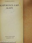 Kapukulcs a kő alatt