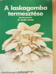 A laskagomba termesztése