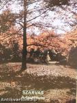 Szarvas - Arborétum