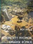 Betemetett nyomok, emlékek rönkje