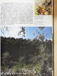 A természet múzeumai