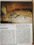 A Biblia kézikönyve