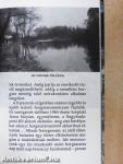Horgászbottal a Csepel-sziget körül