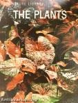 The Plants