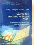 Számviteli esettanulmányok 2009.