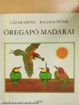 Öregapó madarai
