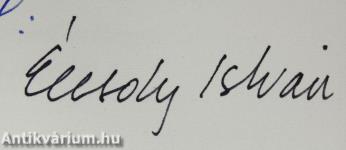 A Várnegyed (dedikált példány)