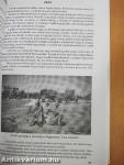 Az álmodozó I.