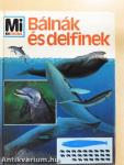 Bálnák és delfinek