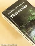 Tüskés rája