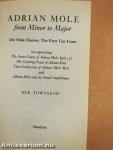 Adrian Mole from Minor to Major