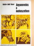 Anyanevelés a méhészetben