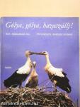 Gólya, gólya, hazaszállj!