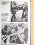 Hitler végrehajtói