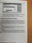 A Windows 3.1