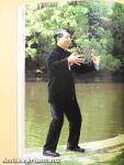 Chi Kung - The Way of Healing