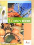 12 hónap a kertben