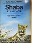 Shaba királynője