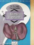 Kis máj- és epekönyv