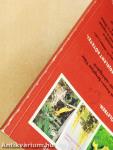88 színes oldal az örökzöldekről és a fenyőkről