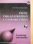 Excel táblázatkezelő a gyakorlatban