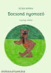 Bocsond nyomozó