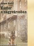 Kántor a nagyvárosban