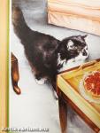 The Illustrated Cats Address Book