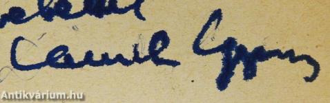 Antarktisz rejtélye (dedikált példány)