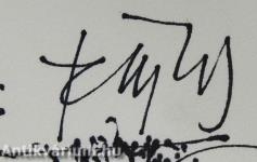 Fejlelemények (dedikált példány)