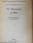 The Phenomenon of Man