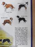 Read about Dogs