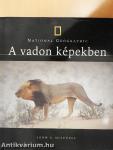 A vadon képekben