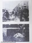 Holocaust in Rumania