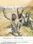 Szabadságharcosok között Afrikában