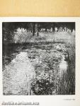 Klimt