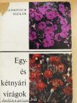 Egy- és kétnyári virágok