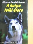 A kutya lelki élete