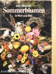 Sommerblumen in Wort und Bild