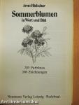 Sommerblumen in Wort und Bild